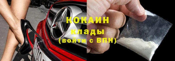 сатива Коряжма