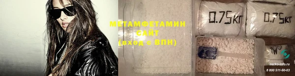 сатива Коряжма