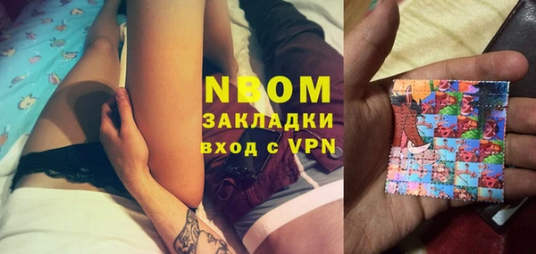 сатива Коряжма