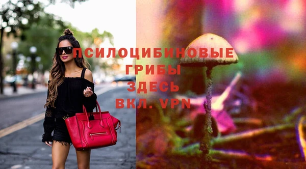 скорость Корсаков