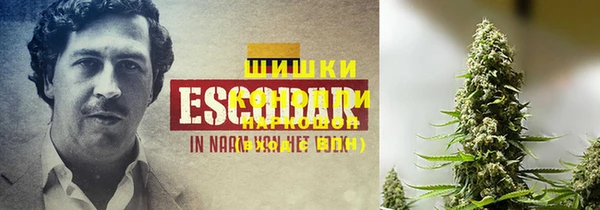 стаф Костерёво